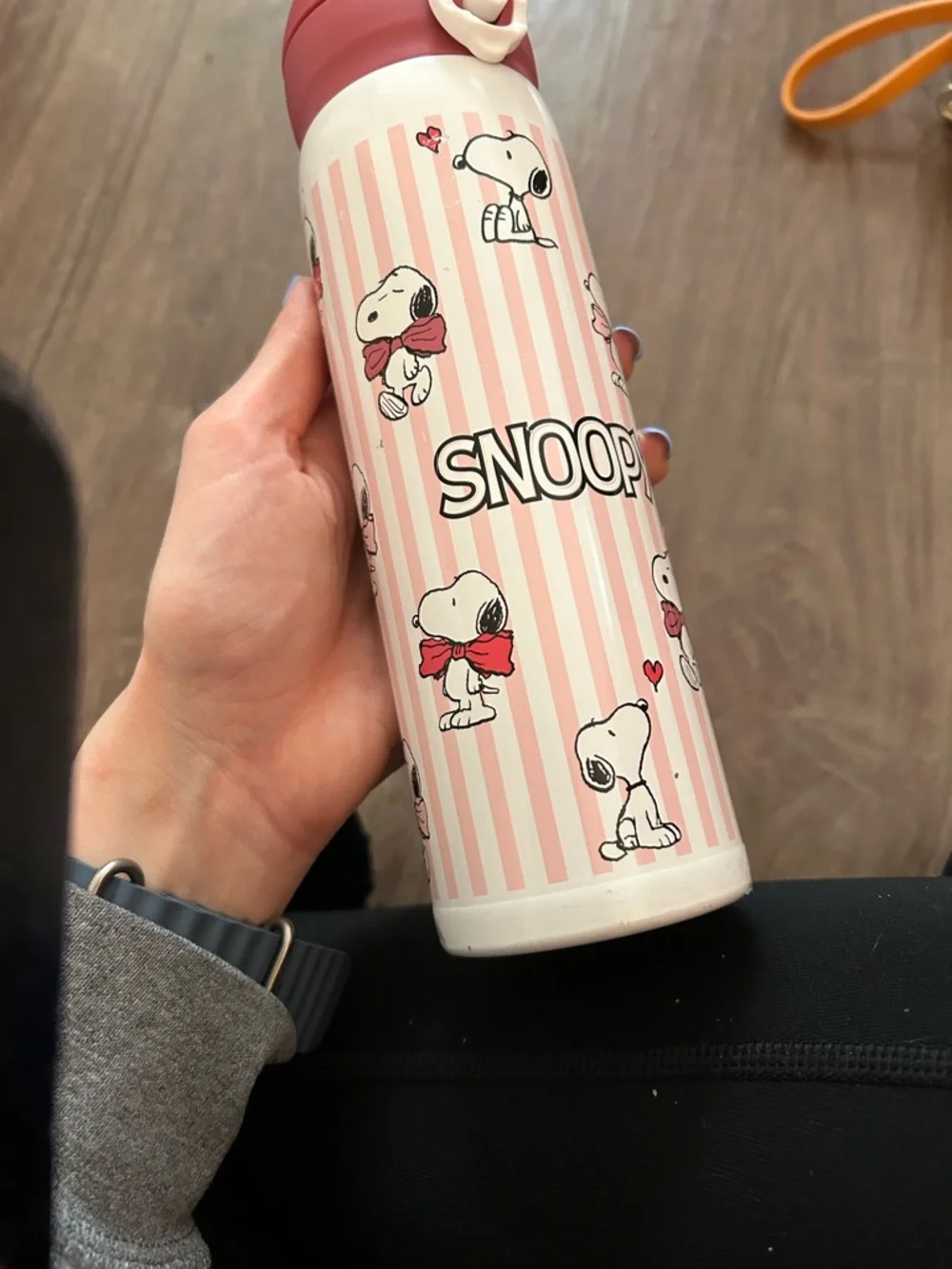 NWT Snoopy Pink Striped Stainless Bottle - Picture 5 of 6